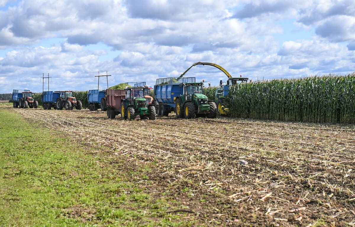 В Тверской области завершается заготовка кормов для сельского хозяйства
