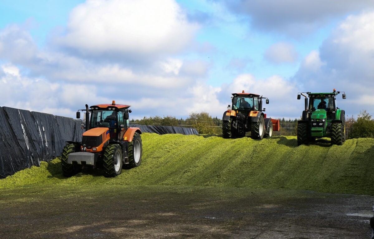 В Тверской области завершается заготовка кормов для сельского хозяйства