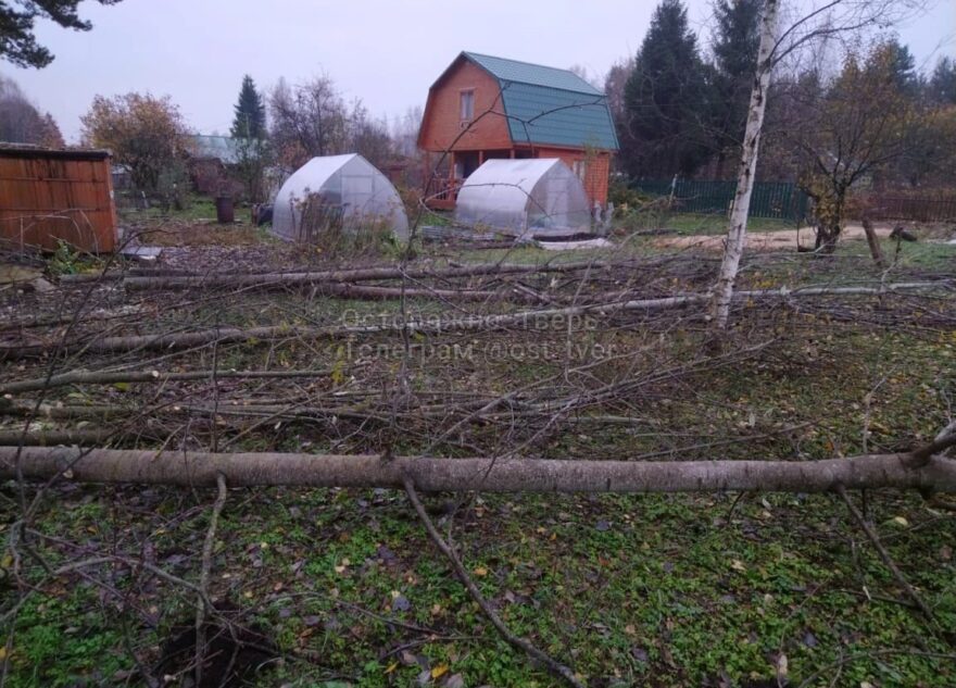 В Тверской области мужчина устроил лесоповал на чужом участке