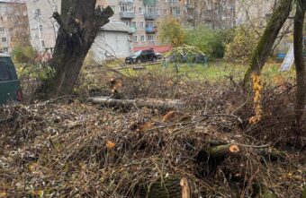 Почти месяц спиленные деревья мешают жителям Тверской области