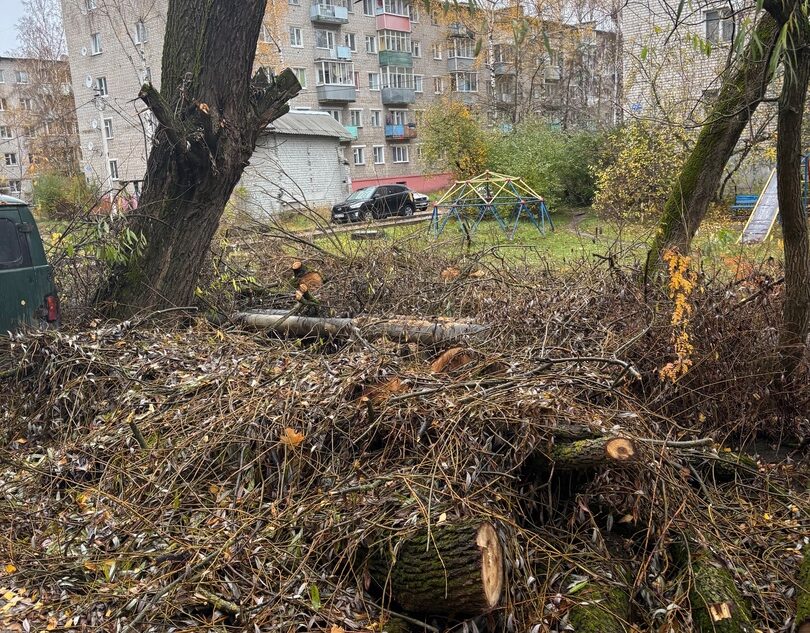 Почти месяц спиленные деревья мешают жителям Тверской области