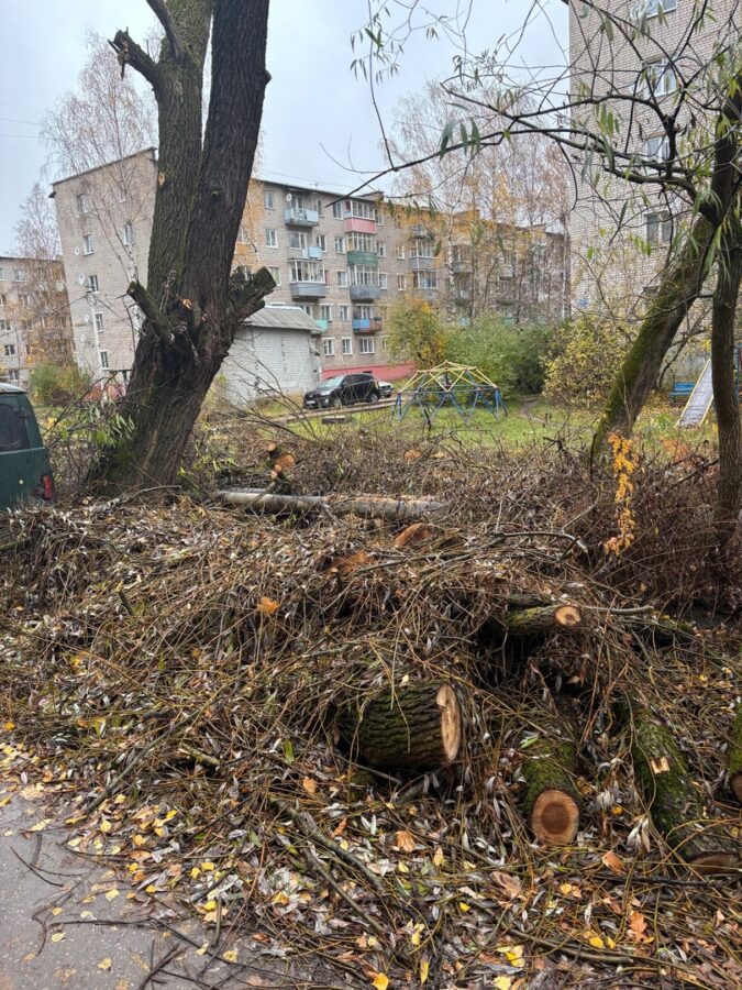 Почти месяц спиленные деревья мешают жителям Тверской области