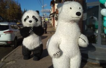 По городу в Тверской области ходят добрые медведи По городу в Тверской области ходят добрые медведи