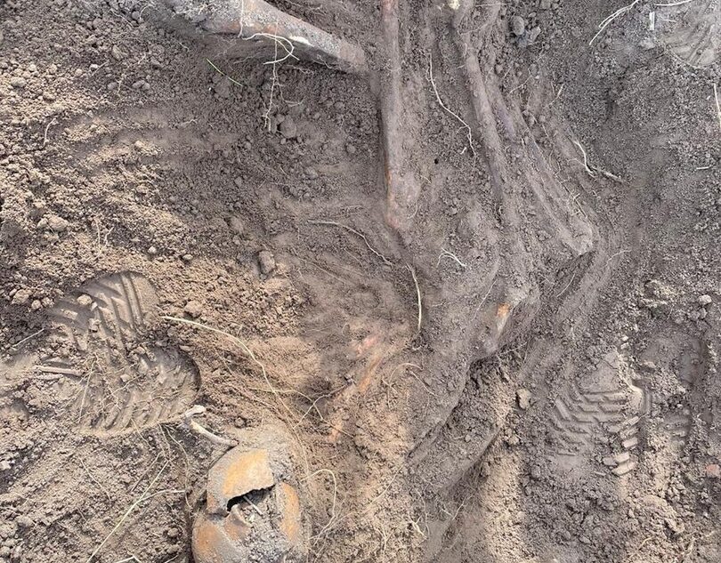 В Тверской области нашли останки неизвестного красноармейца