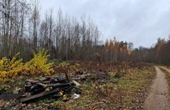 В Тверской области лес превратился в свалку В Тверской области лес превратился в свалку
