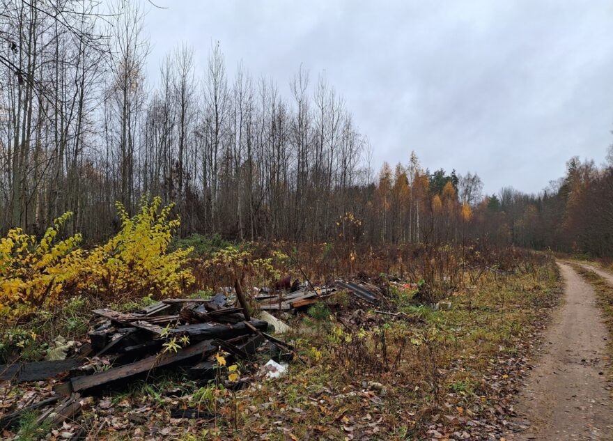 В Тверской области лес превратился в свалку