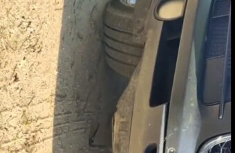 Змея заползла под машину и напугала жителя Тверской области Змея заползла под машину и напугала жителя Тверской области
