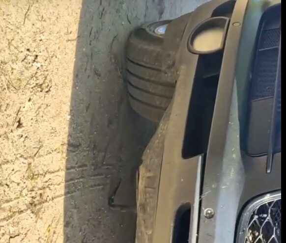 Змея заползла под машину и напугала жителя Тверской области