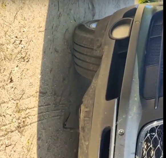 Змея заползла под машину и напугала жителя Тверской области