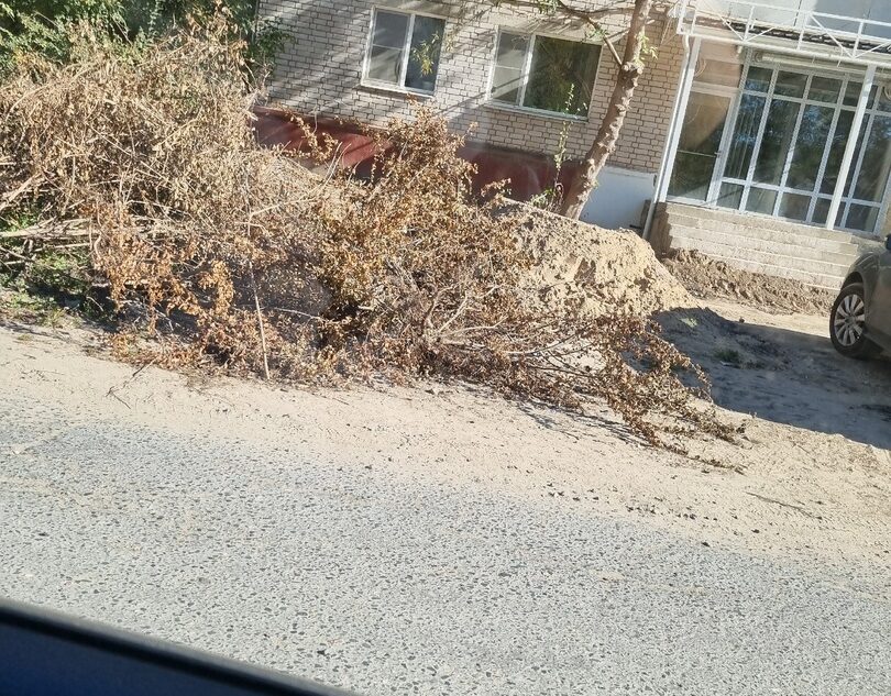 Жители Тверской области пожаловались на брошенные возле дома ветки деревьев Жители Тверской области пожаловались на брошенные возле дома ветки деревьев
