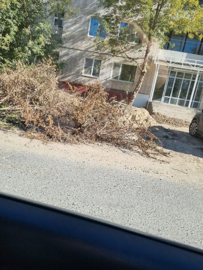 Жители Тверской области пожаловались на брошенные возле дома ветки деревьев
