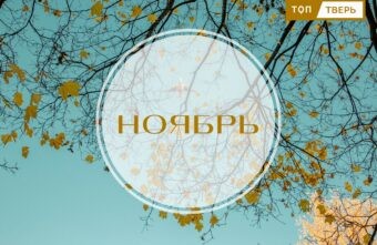 Всем выйти из тени: вступают в силу законы ноября Всем выйти из тени: вступают в силу законы ноября