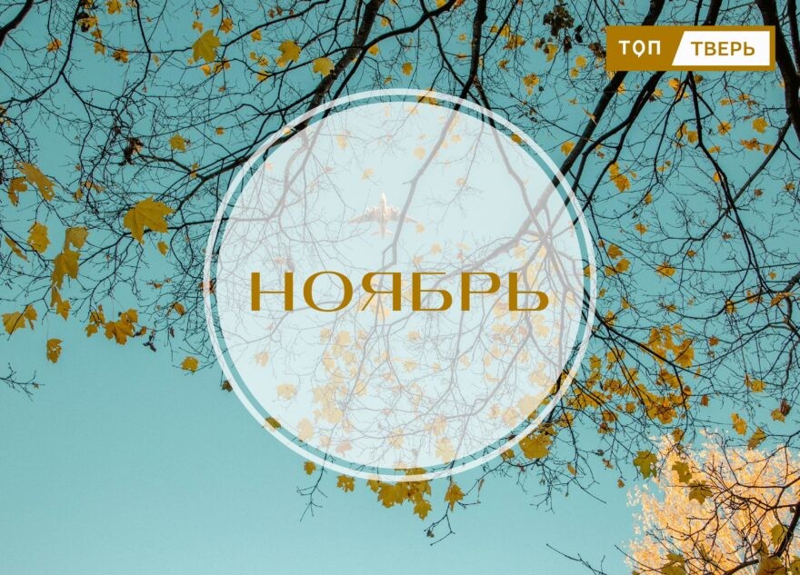 Всем выйти из тени: вступают в силу законы ноября