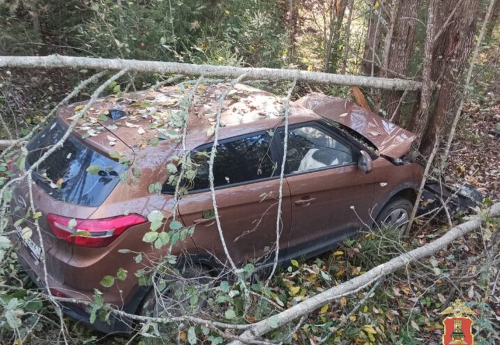 Угнанную в Тверской области иномарку нашли в кювете