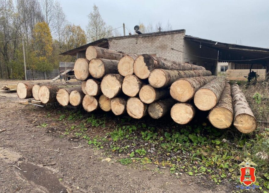В Тверской области мужчина незаконно нарубил деревьев на два миллиона рублей В Тверской области мужчина незаконно нарубил деревьев на два миллиона рублей
