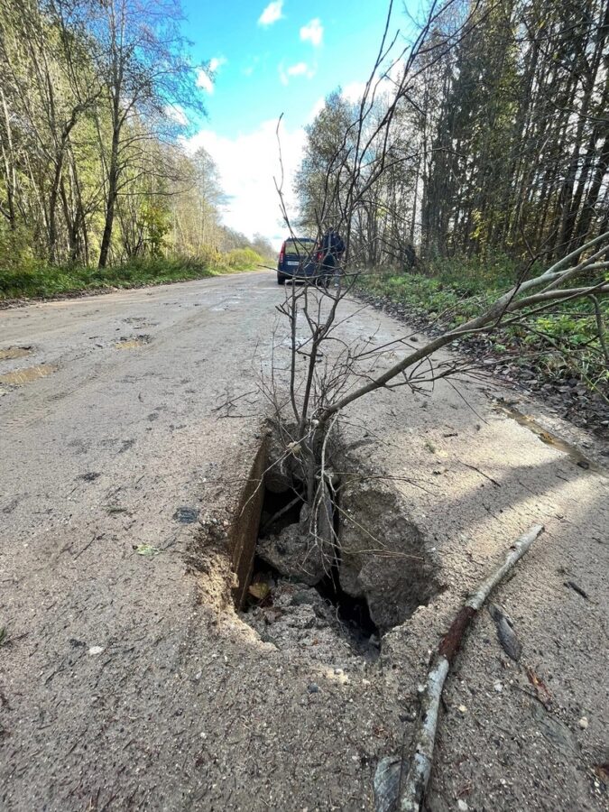 Жителей Тверской области предупредили об опасности на дороге