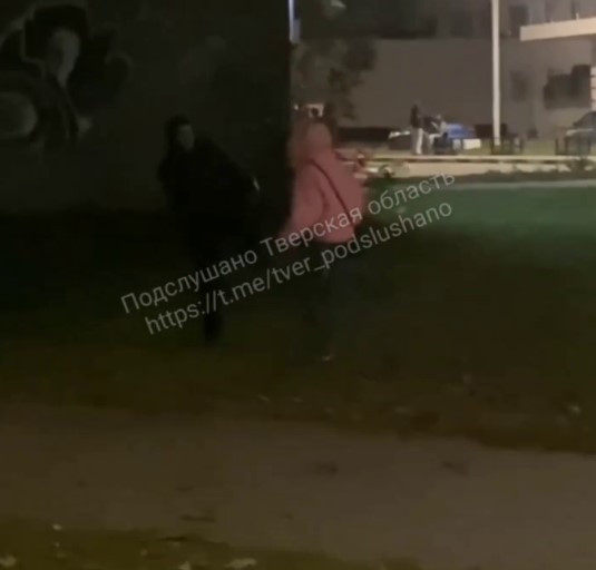 В Тверской области подросток яростно избивал другого подростка