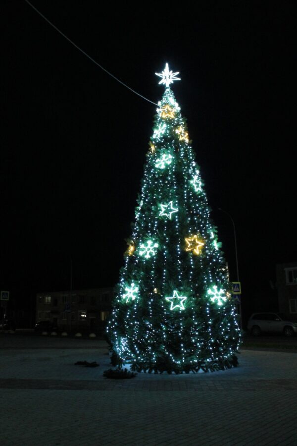 Жители Тверской области голосуют, убрать новогоднюю ёлку с площади или оставить