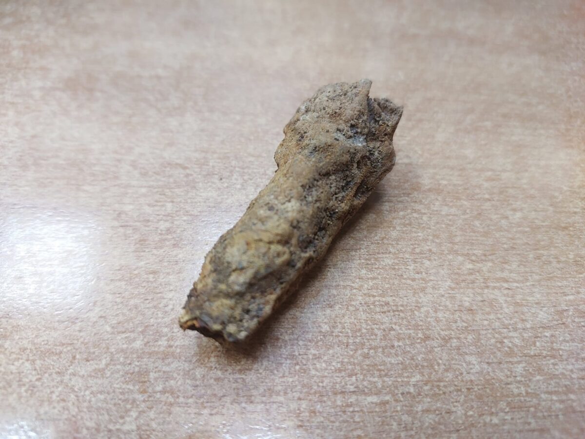 Поисковики установили имя солдата, останки которого нашли в Тверской области