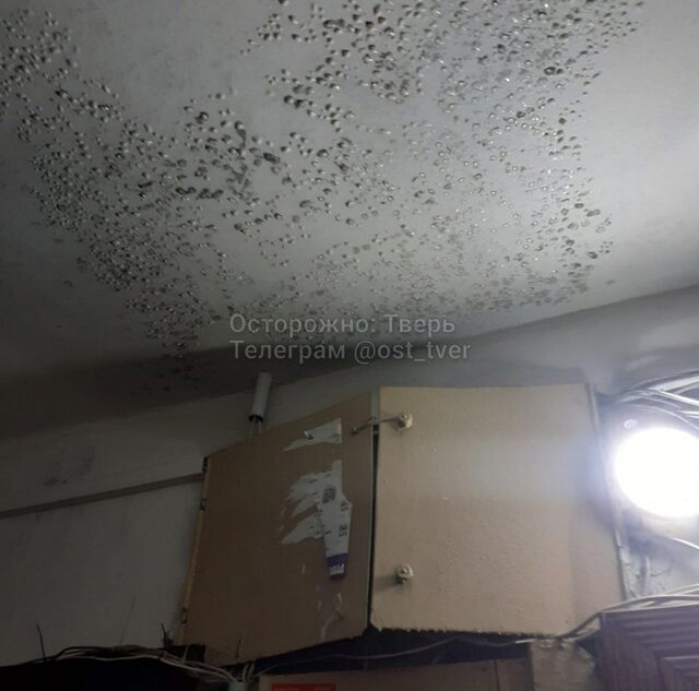 В Твери подъезд дома заливает несколько дней кипятком