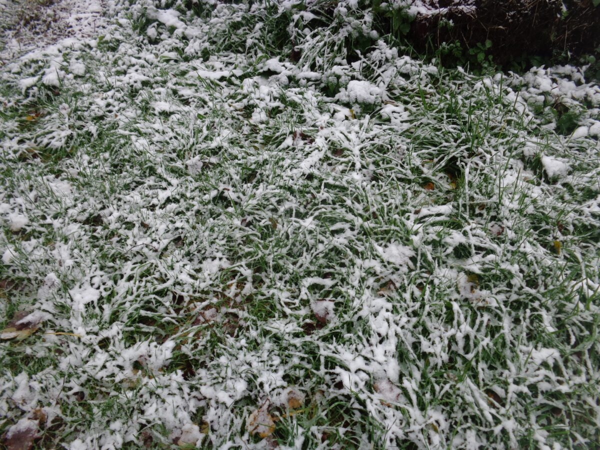 Жители Тверской области надеются, что снег растает