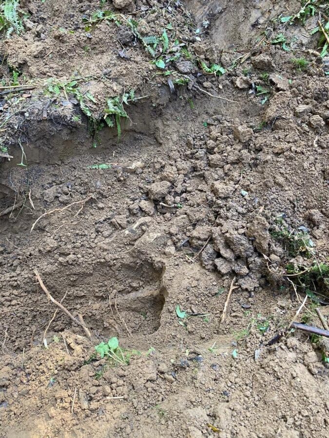 Тверские поисковики нашли неучтенное захоронение красноармейцев