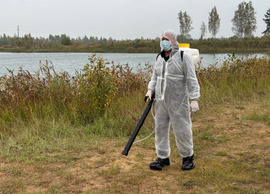 В Лихославле придумали и ликвидировали очаг опасного птичьего гриппа