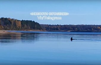 Житель Тверской области рассказал о необычной встрече на рыбалке