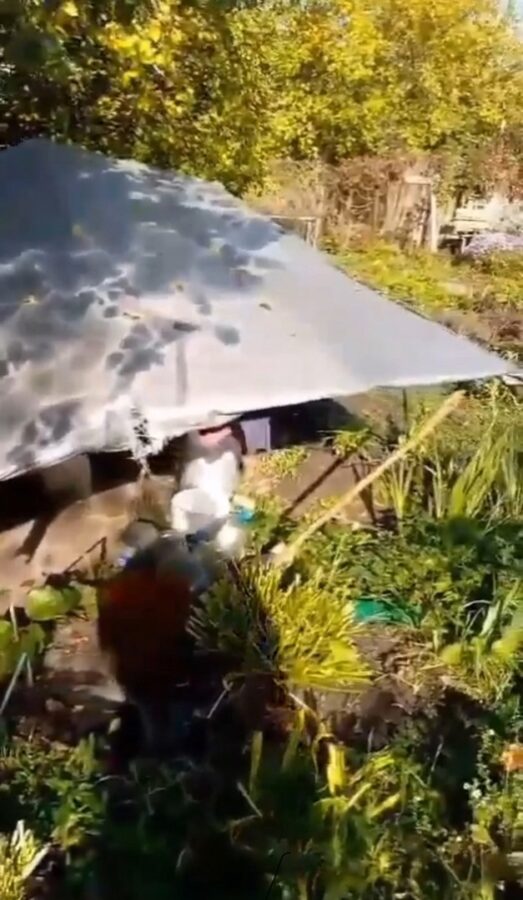 В Твери вандалы разгромили огороды и придомовую территорию жителей