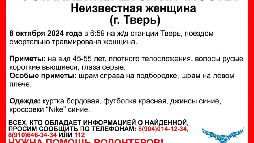 Помощь сбитому пешеходу. Помощь сбитому пешеходу
