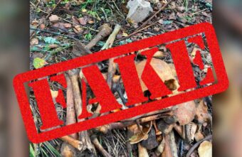 На территории строительных работ в Тверской области человеческих останков не обнаружено На территории строительных работ в Тверской области человеческих останков не обнаружено