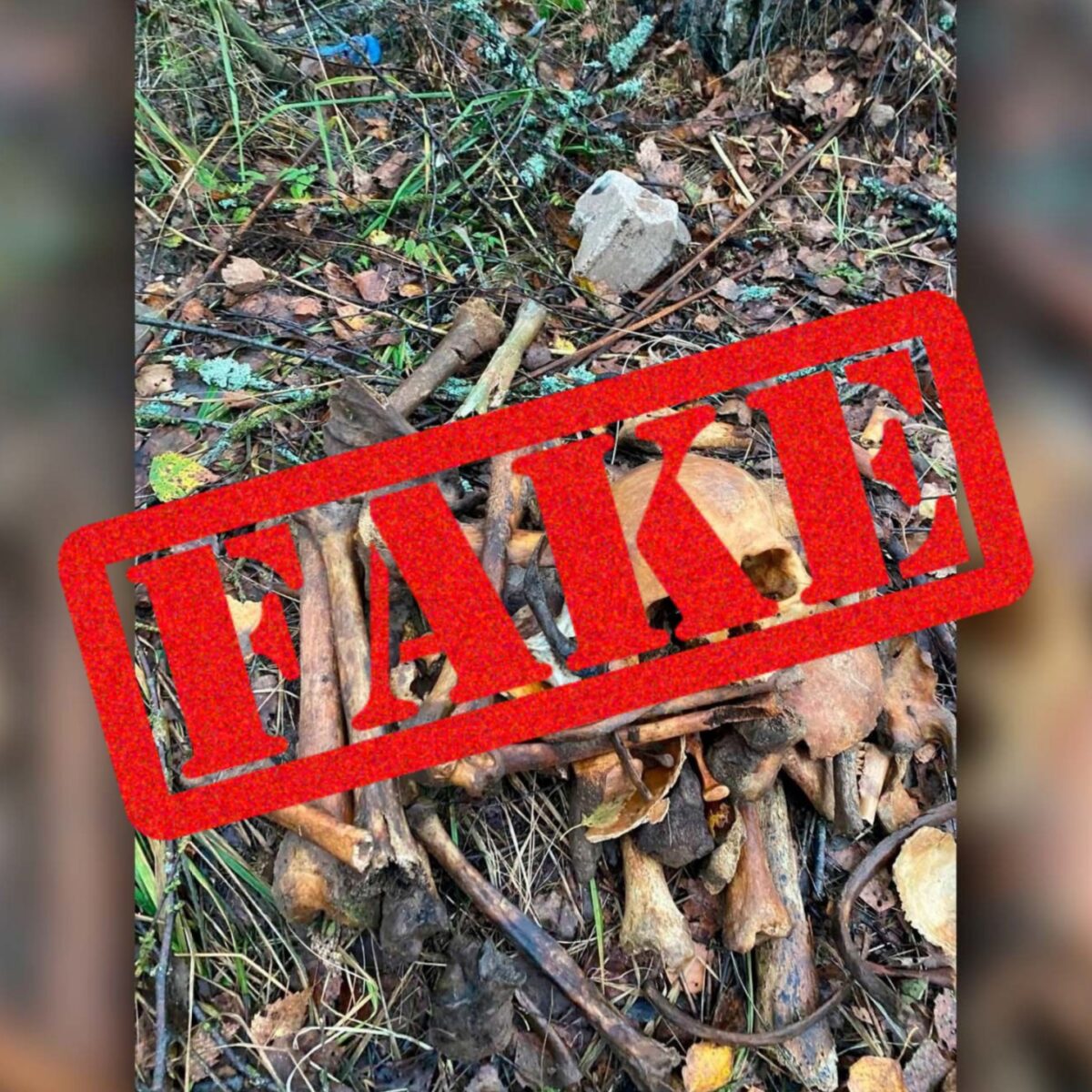 На территории строительных работ в Тверской области человеческих останков не обнаружено