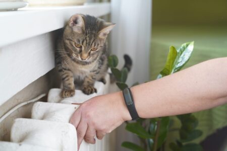 9 октября в Твери начали подачу тепла в жилые дома