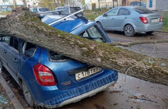 В парке у вагоностроительного завода в Твери деревья упали на машины