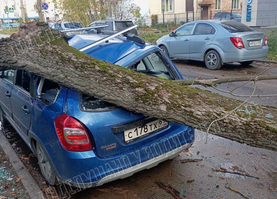 В парке у вагоностроительного завода в Твери деревья упали на машины В парке у вагоностроительного завода в Твери деревья упали на машины
