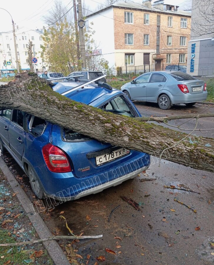 В парке у вагоностроительного завода в Твери деревья упали на машины