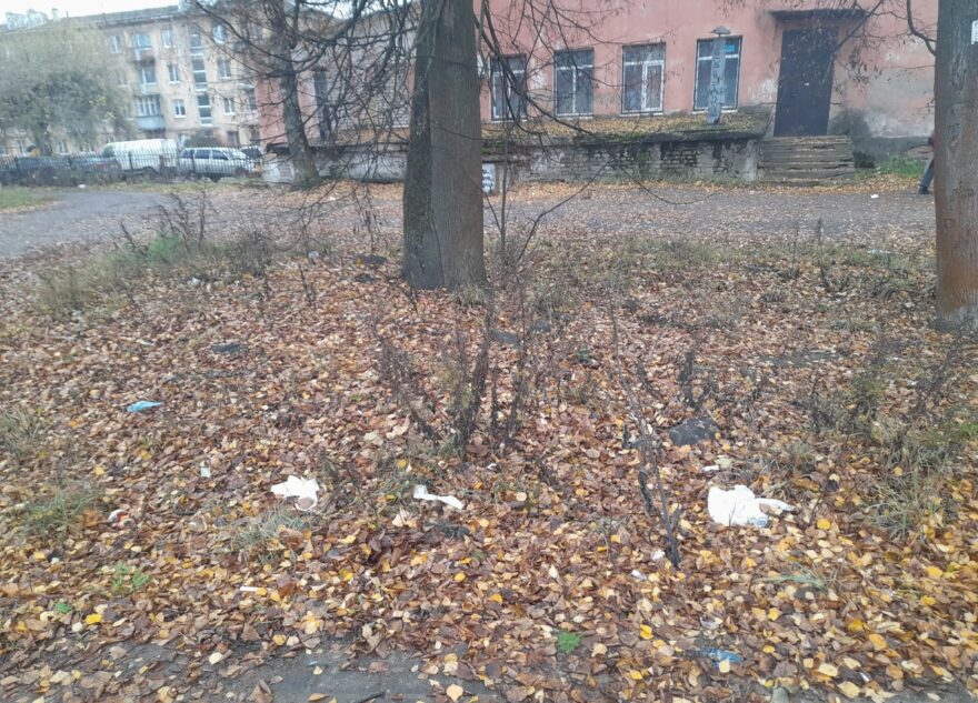 Город в Тверской области превратился в свалку