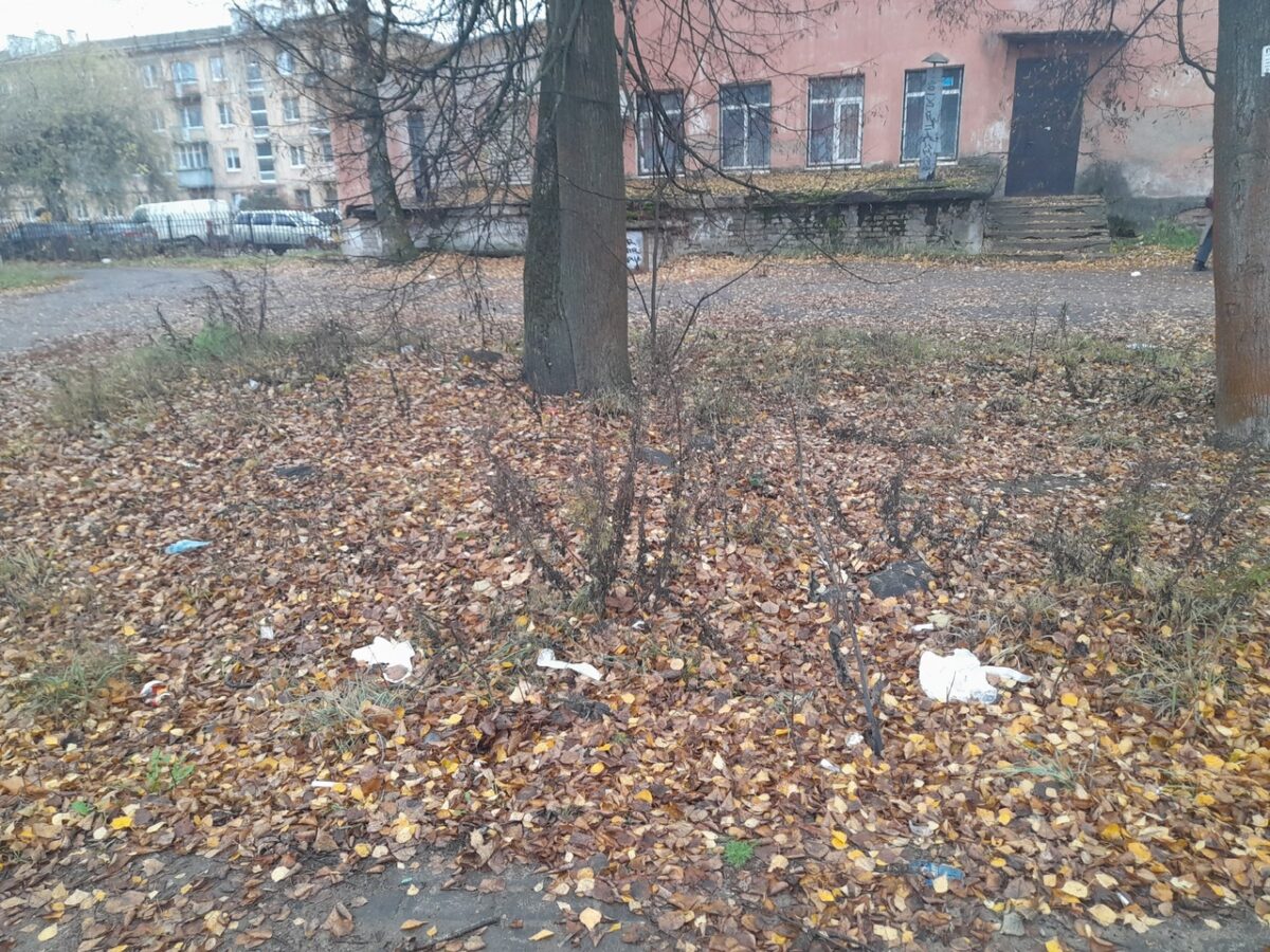 Город в Тверской области превратился в свалку