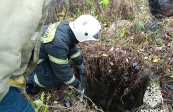 Доставать собак из колодца в Тверской области пришлось спасателям Доставать собак из колодца в Тверской области пришлось спасателям