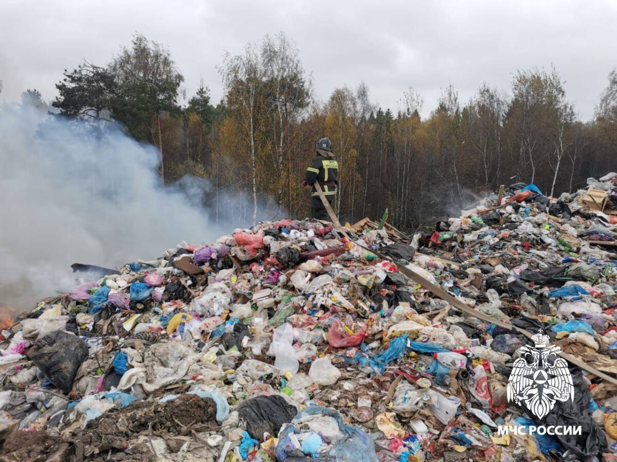 В Тверской области загорелась свалка