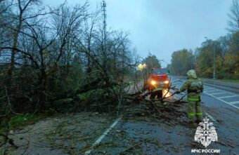 На дорогу в Тверской области упало дерево