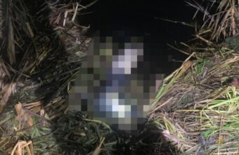 В Тверской области из пруда вытащили тело мужчины