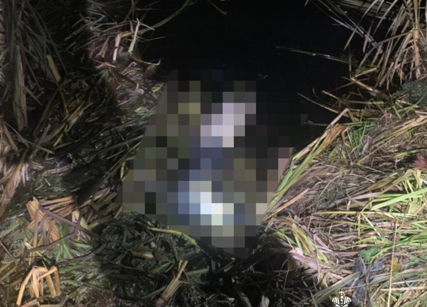 В Тверской области из пруда вытащили тело мужчины