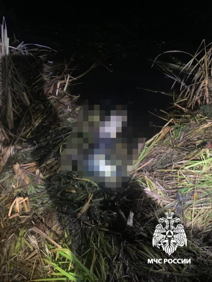 В Тверской области из пруда вытащили тело мужчины В Тверской области из пруда вытащили тело мужчины