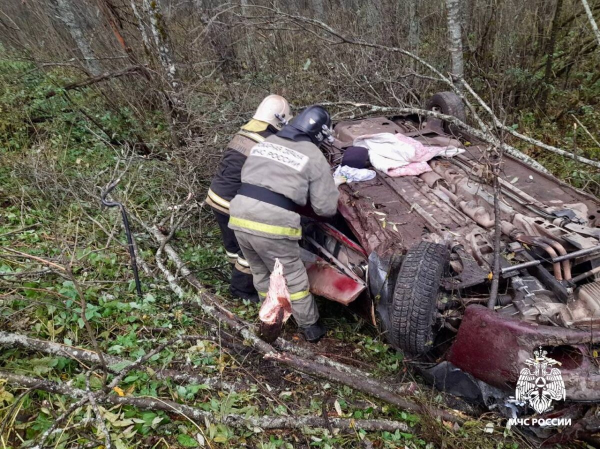 В Тверской области пожарные спасли женщину, зажатую в перевернувшейся машине