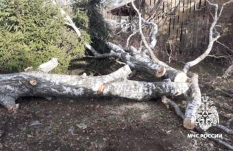 В Тверской области пожарные спасли жилой дом от огромной березы