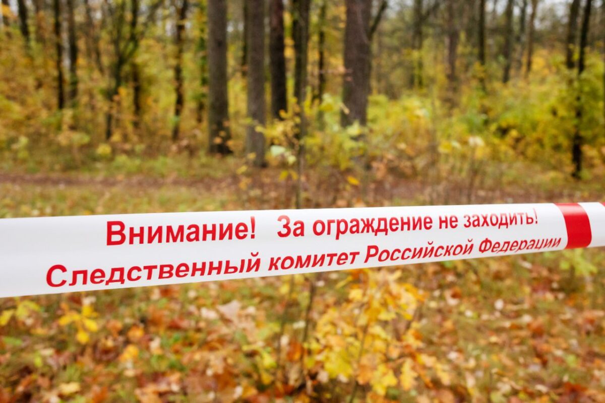 Труп мужчины нашли в лесу под Тверью