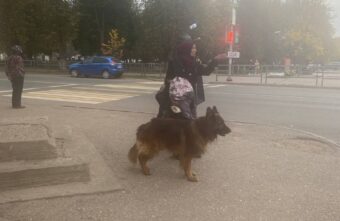 В Тверской области агрессивная овчарка накидывается на мужчин и детей