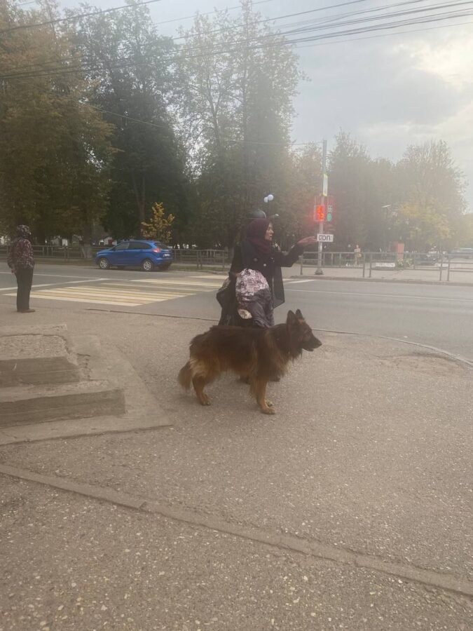 В Тверской области агрессивная овчарка накидывается на мужчин и детей