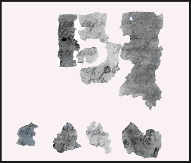 Поисковики установили имя солдата, останки которого нашли в Тверской области